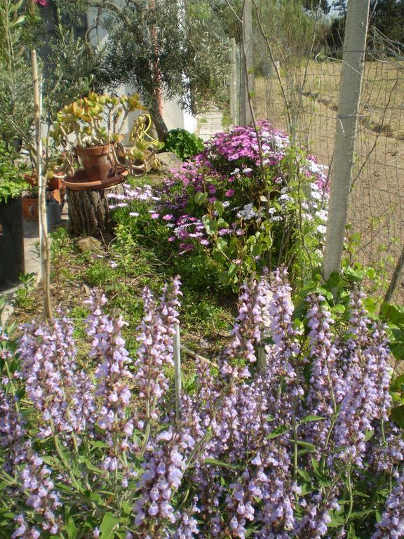 مبيت وإفطار Marrùbiu Il Giardino Di Emilio الغرفة الصورة