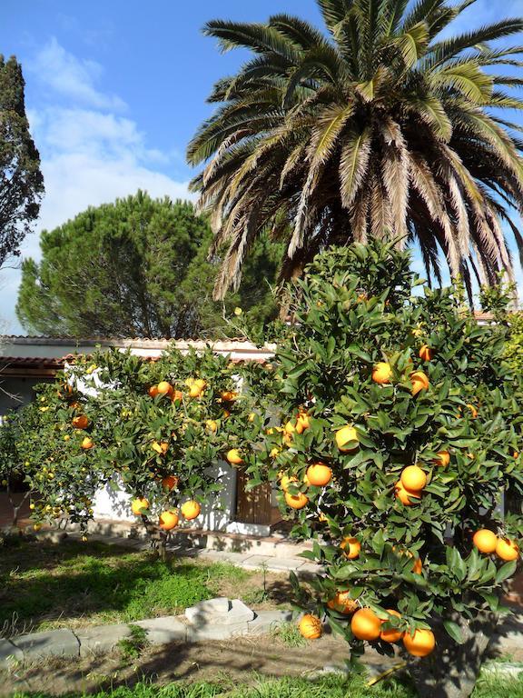 مبيت وإفطار Marrùbiu Il Giardino Di Emilio الغرفة الصورة